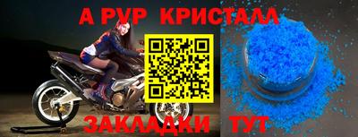 стафф Гатчина