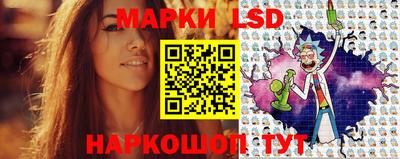 стафф Гатчина