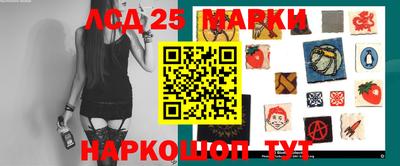 стафф Гатчина