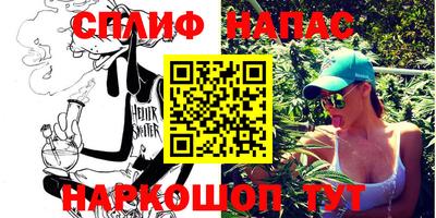 стафф Гатчина