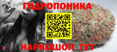 стафф Гатчина