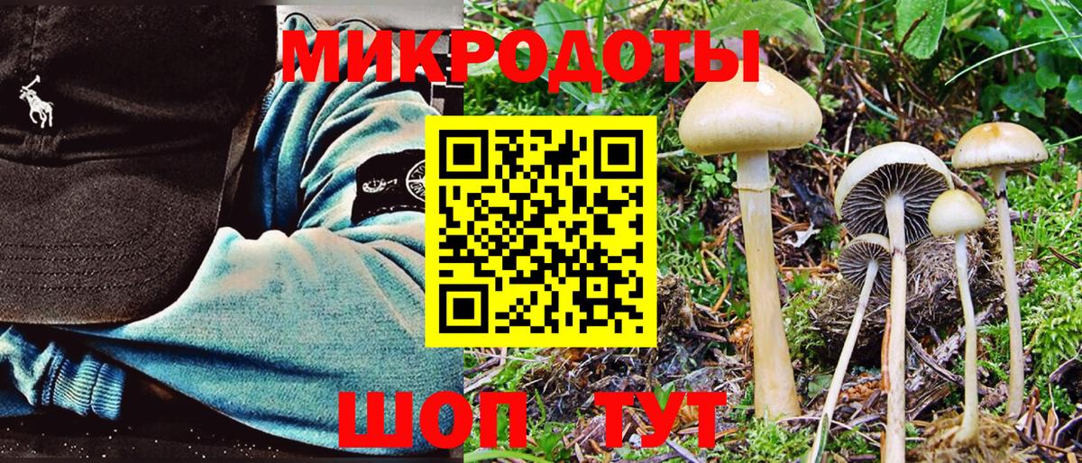 Псилоцибиновые грибы мицелий Мичуринск