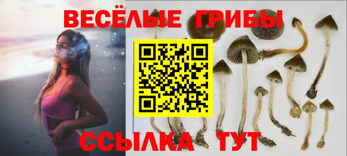 Мичуринск  Псилоцибиновые грибы мухоморы  Вход с VPN 